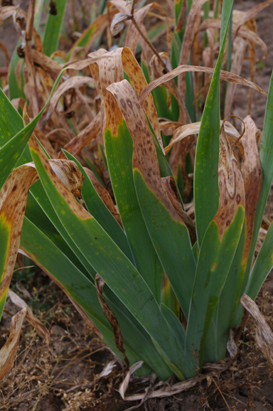 42+ Nice Why Is There A Blind Spot / SMALL CRAFT ADVISOR interview 2020 Seascape The Webb / A keen focus on learning will help you become a more successful and effective leader.