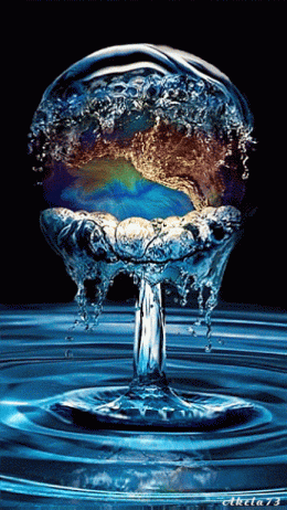 Download gif animasi bergerak png for desktop or mobile device. 30 Incredible Gif S Charismatic Planet