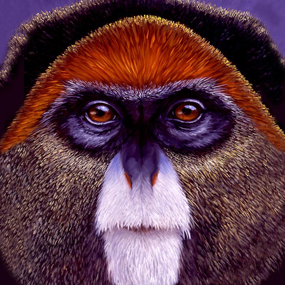 Monkey Face