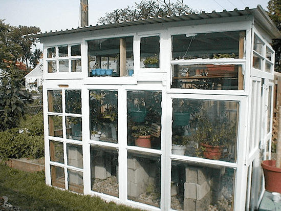 Removing pests from your garden using animal traps