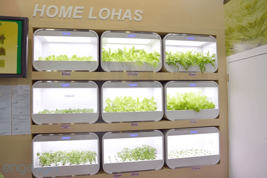 Hydroponic gardening kits in your living room via Home Lohas