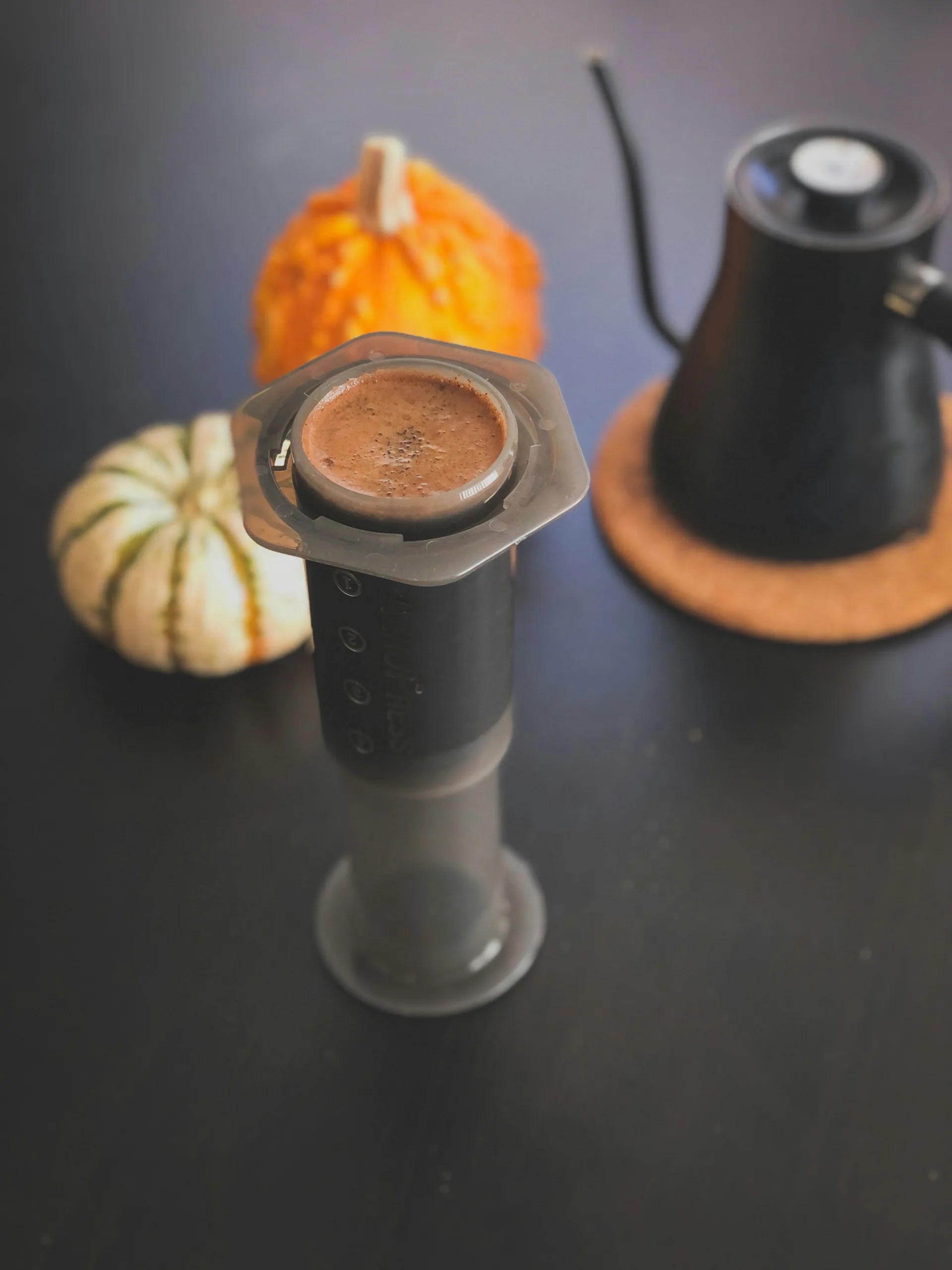 aeropress go review
