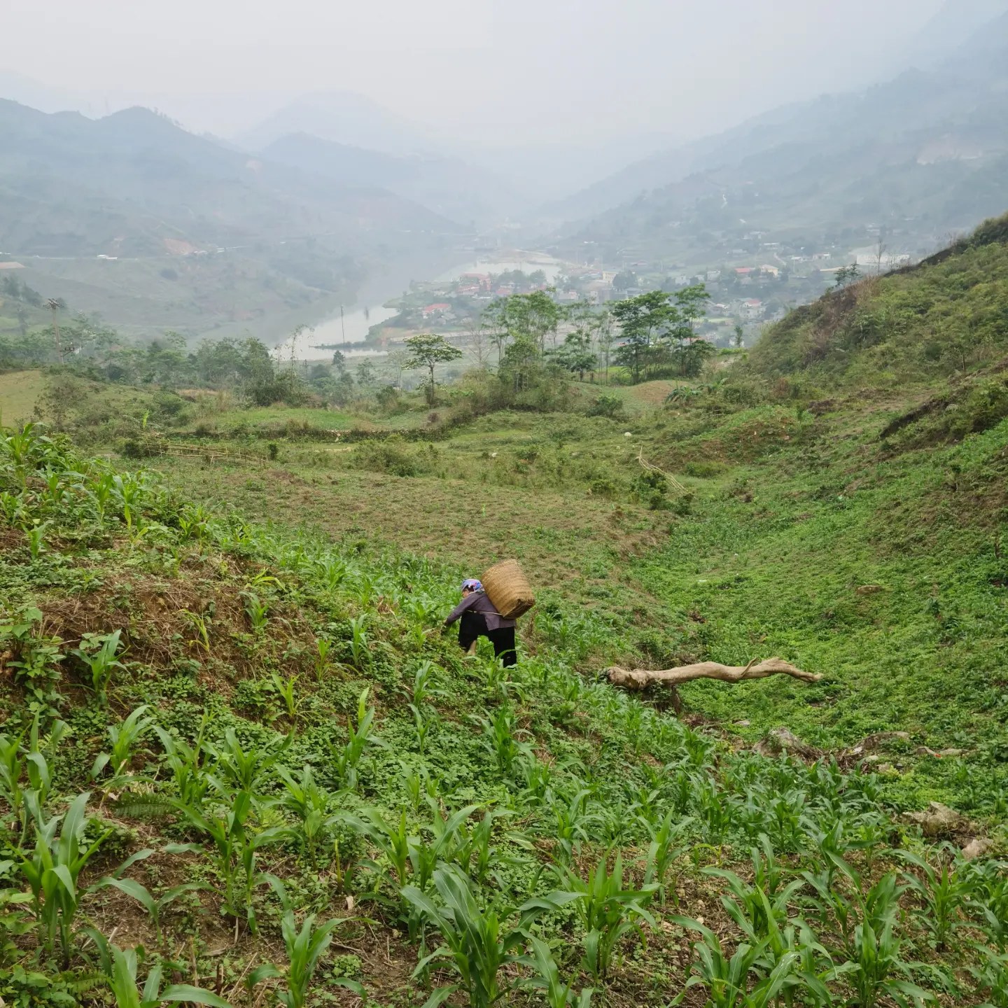 sapa mountain