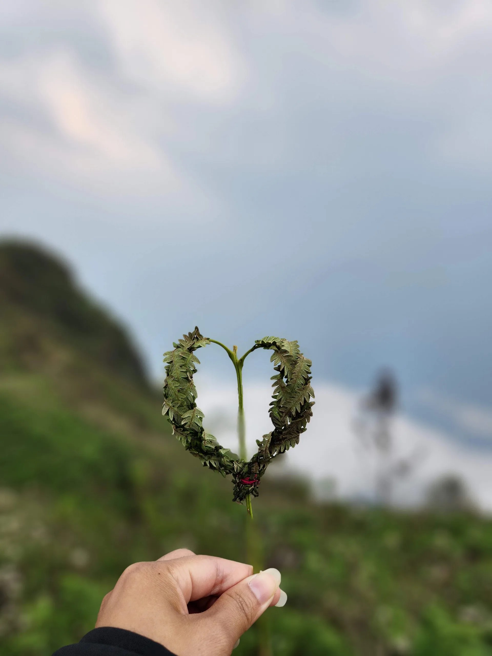 sapa vietnam tour