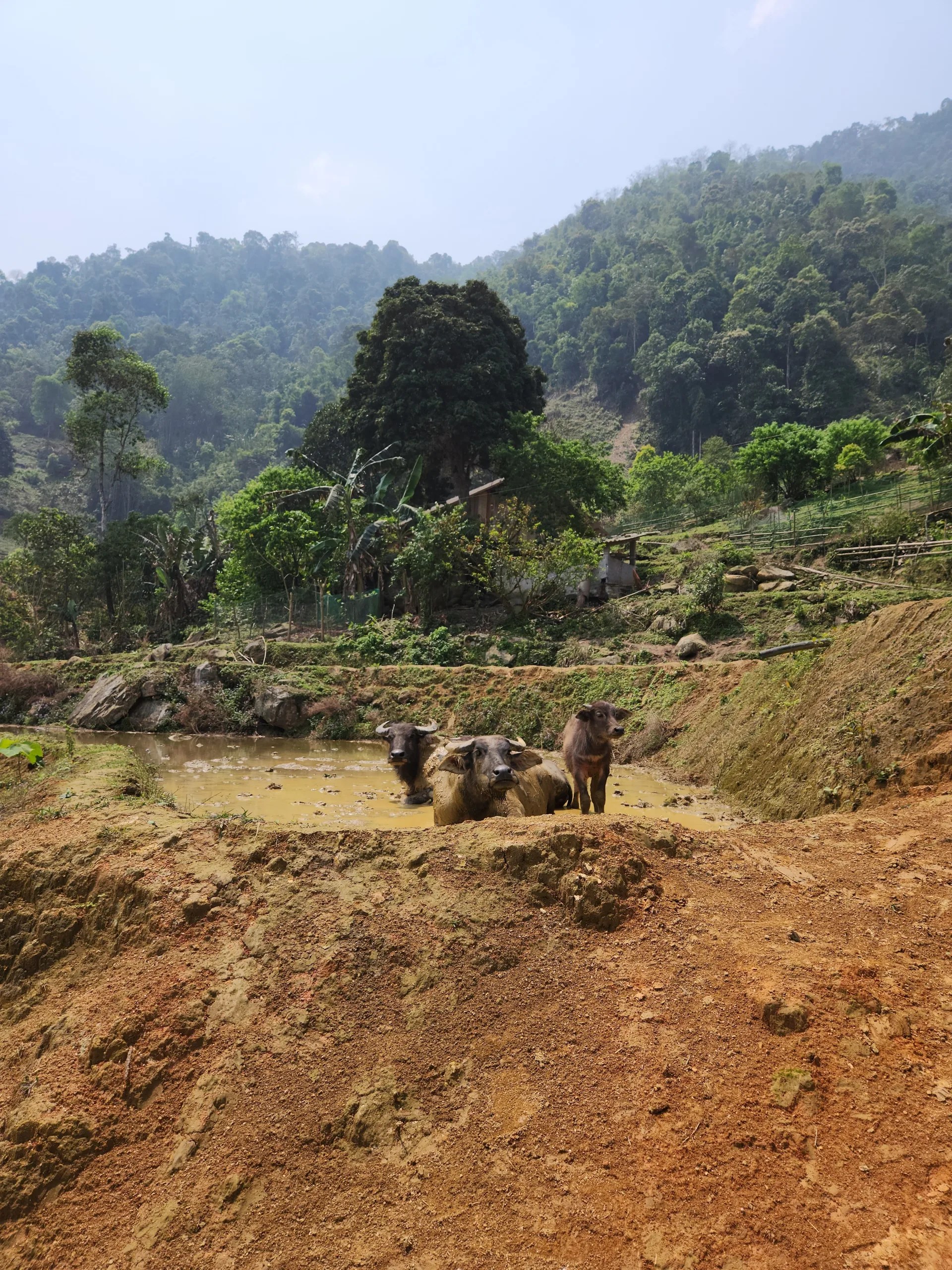 sapa vietnam travel guide