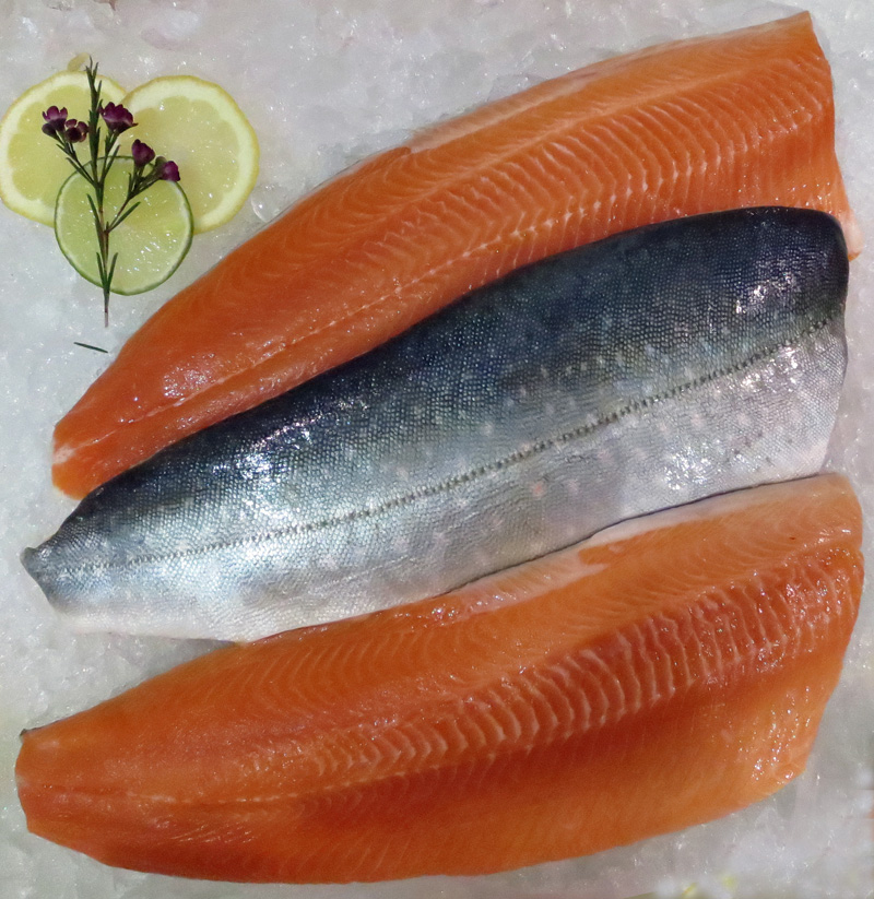 pic Arctic Char Fish Taste arctic char culinary profile chefs
