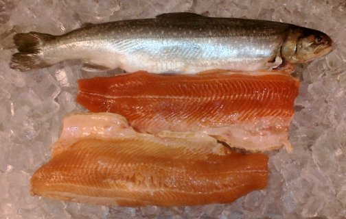 photo Arctic Char Fish Taste arctic char culinary profile chefs
