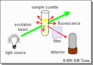 Absorption of excitation and/or emission radiation by a sample reduces fluorescence intensity and results in a nonlinear relationship between . Definition of fluorescence_molecular_fluorescence