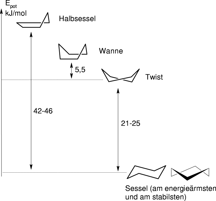 Schelm 3d Cyclohexan