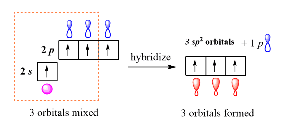 Part A Four Sp3 Hybridized Carbons Express Your Chegg One exception with the steric number is for example the amides.