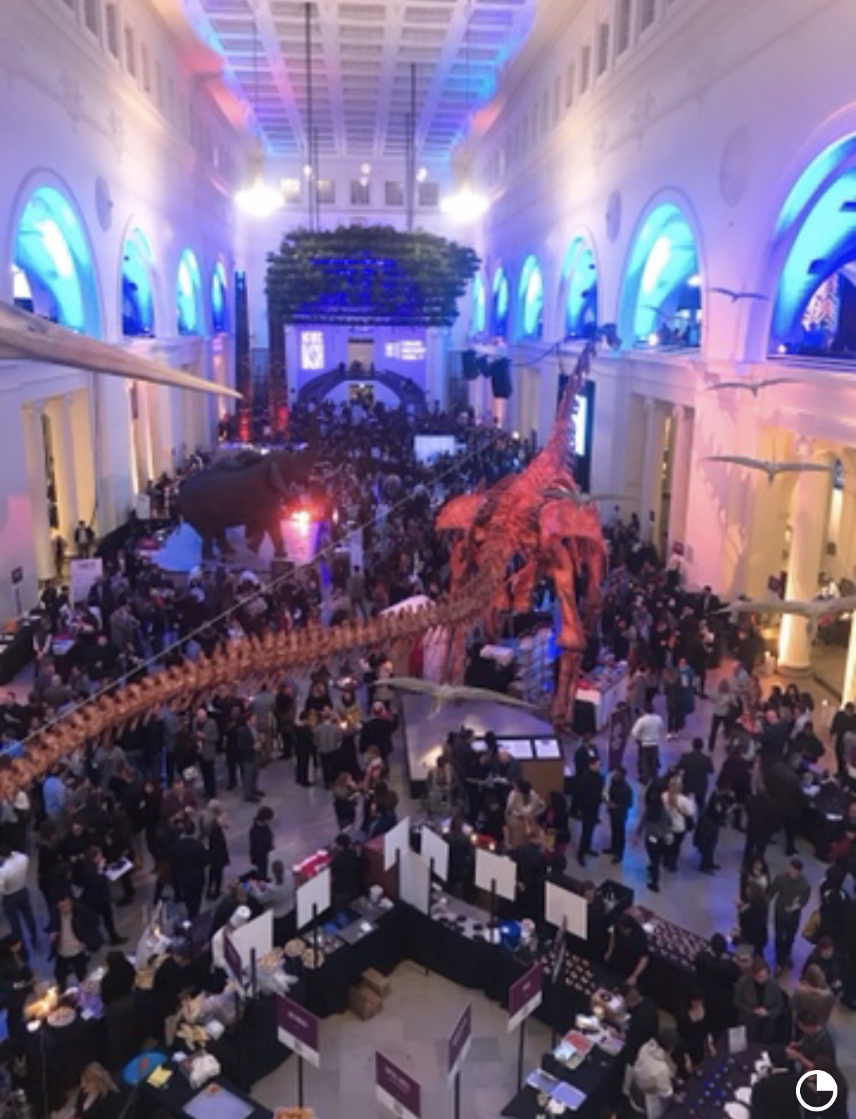 FIRST BITES BASH TICKET SALES NOW LIVE! Chigirlabouttown