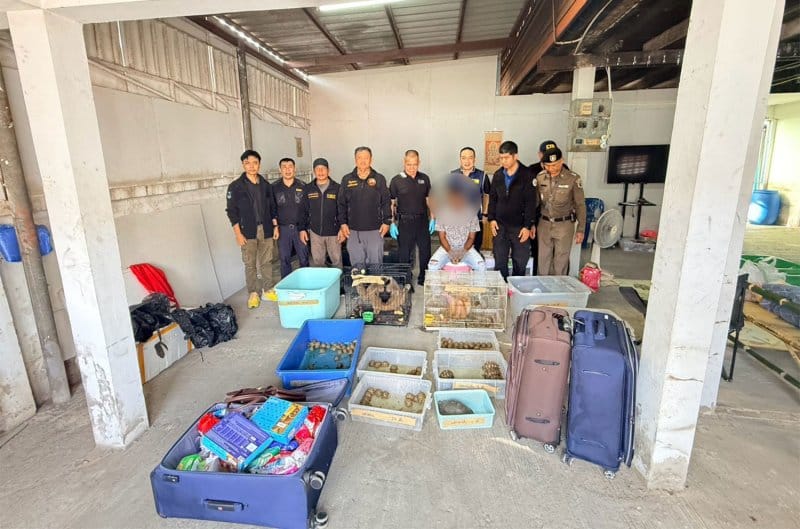 Indian Nationals Trafficking Wildlife Arrested in Bangkok