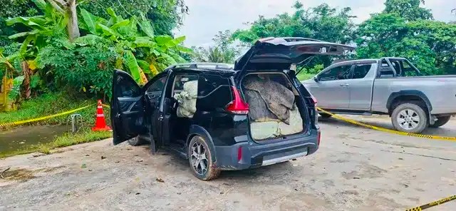 Chiang Rai Police Seize 600kg Crystal Meth in Chang Saen