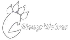 Donate Your Stuff Chicago Charities Chicago Wolves