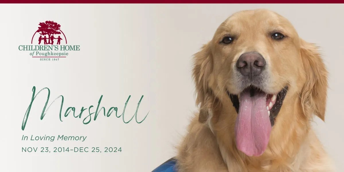 In Loving Memory of Marshall