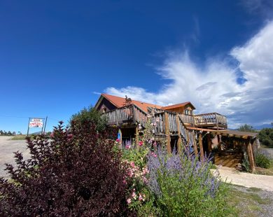 URGENT APPEAL: HELP SAVE THE CHILI LINE DEPOT!