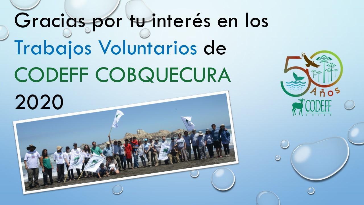 CODEFF realizará trabajos voluntarios en Cobquecura este verano 2020