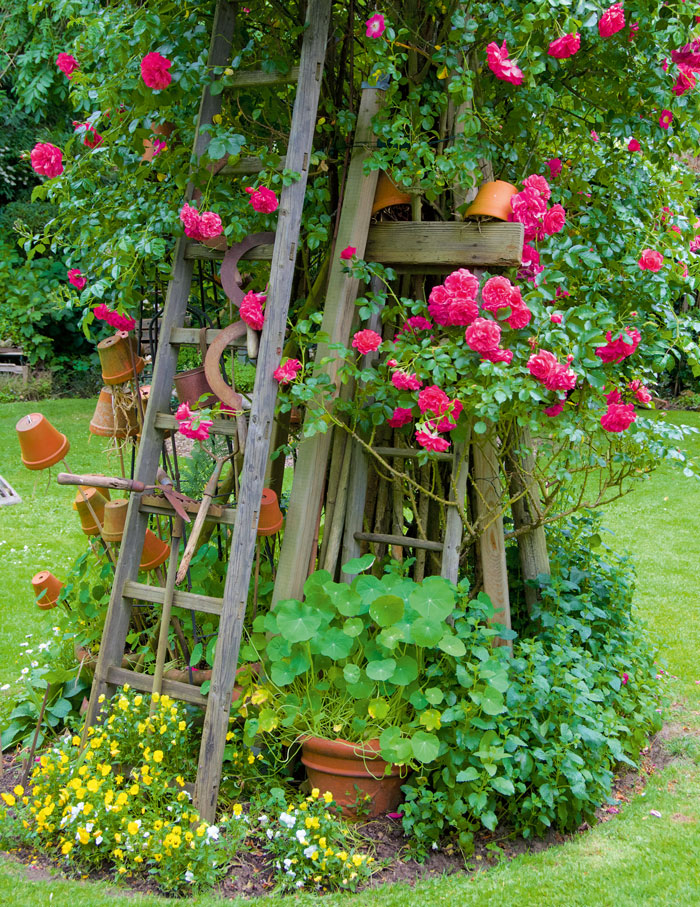 Zum Nachpflanzen Rondell Im Blutenmeer Mein Schoner Garten