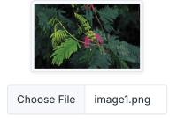 Image Preview using HTML, Bootstrap, and jQuery