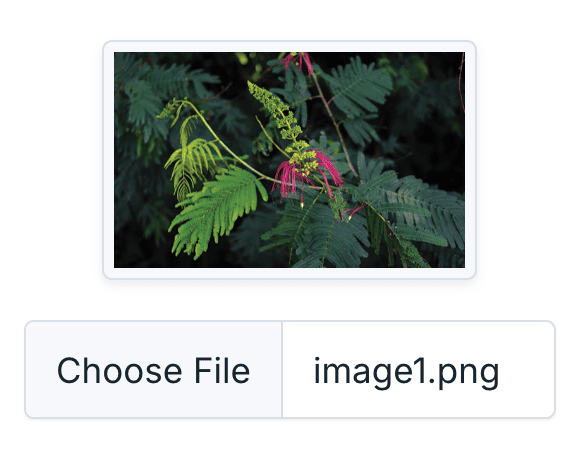 Image Preview using HTML, Bootstrap, and jQuery