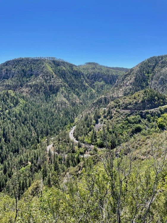 The rolling hills of Flagstaff.