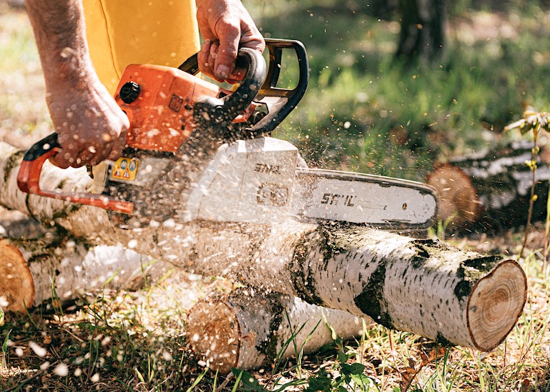 Chainsaw Tree