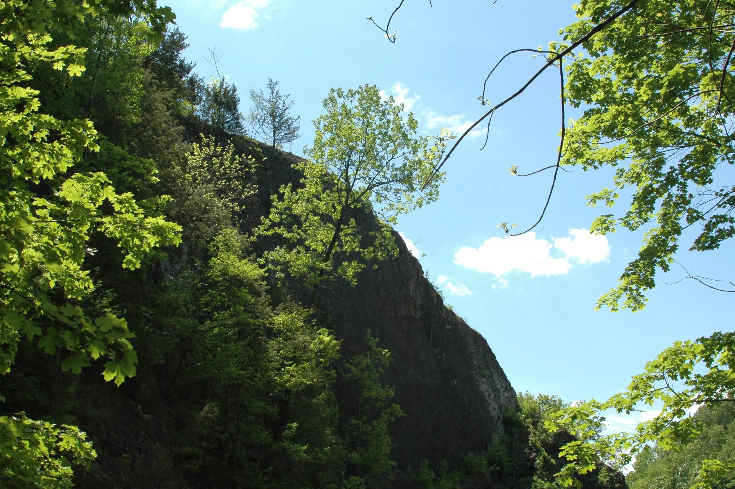 Wilbur uplands summit