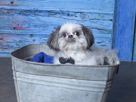 6-Roscoe Smith 6-Roscoe Smith