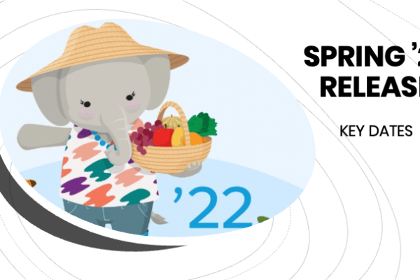 Salesforce Spring '22 Release