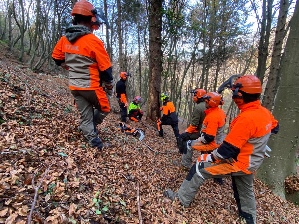 Corso Abilitazione All'utilizzo In Sicurezza Della Motosega | Cisi School 768_x_1024_jpg