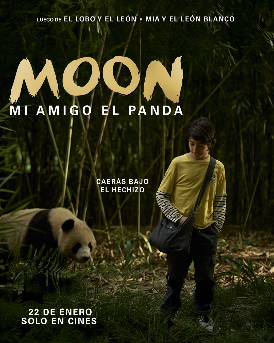 Moon: Mi Amigo Panda
