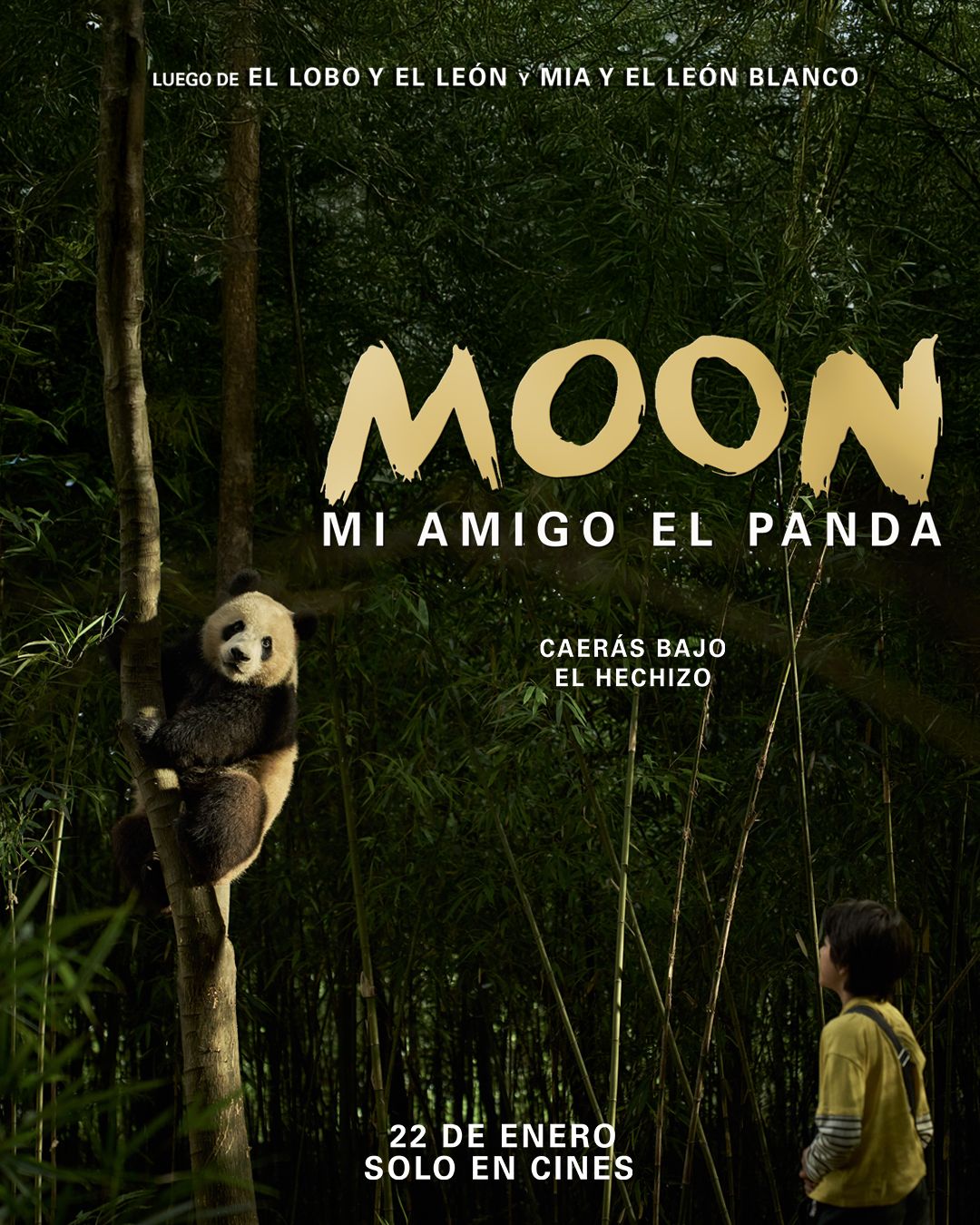 Moon: Mi Amigo Panda