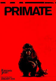 Primate