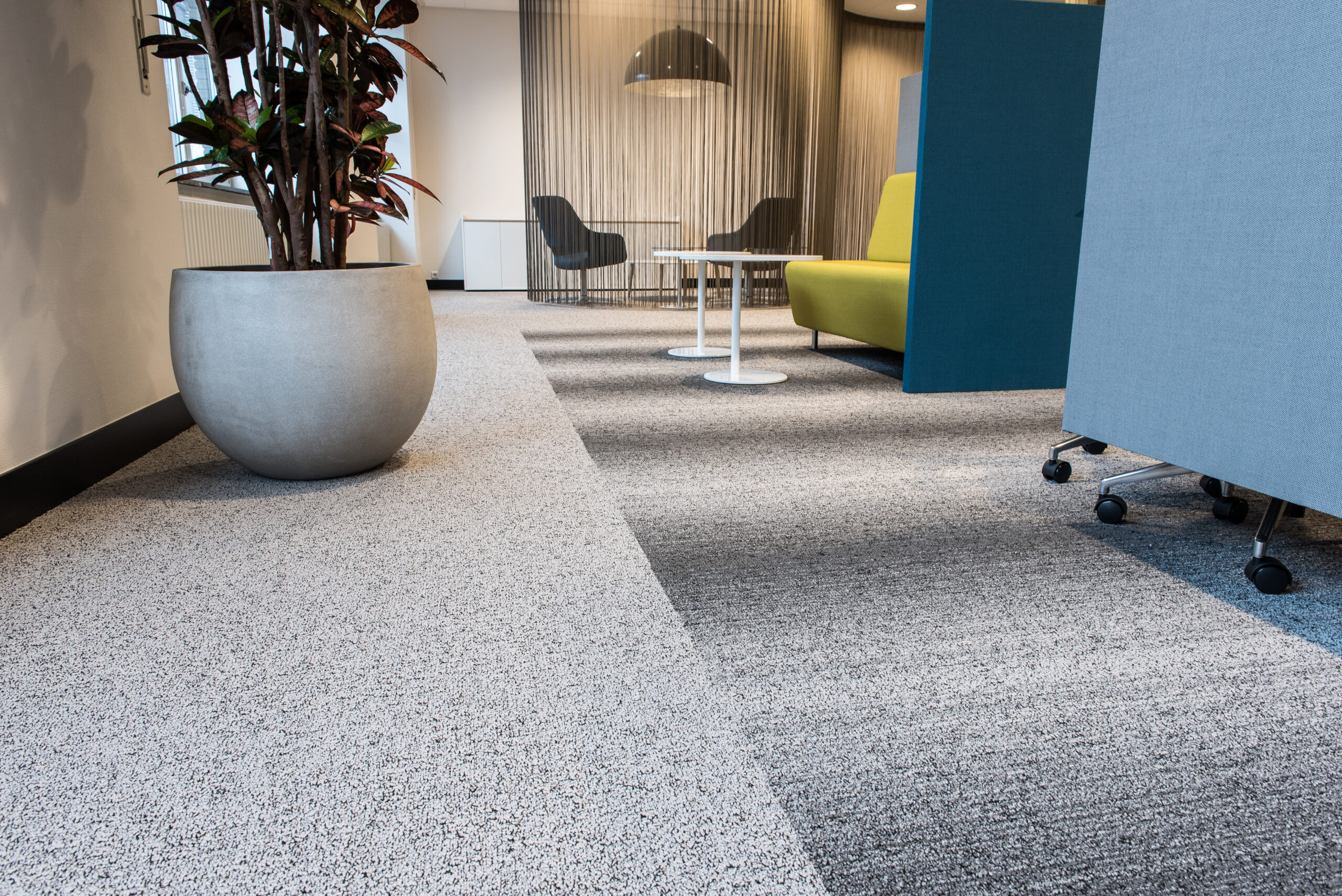 Citra Steam cleans office and business carpet