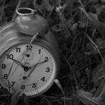 APPLICANT REFUSED PERMISSION TO RELY UPON A WITNESS STATEMENT THAT WAS SERVED LATE: NON-COMPLIANCE WITH THE RULES IS EFFECTIVELY A FORM OF CHEATING