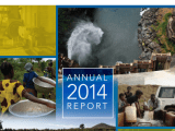 2014 Ciwa Annual Report Ciwa Program