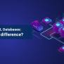 SQL Vs NoSQL Databases: What’s The Difference?