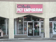 free metro delivery curbside pick up - on clark's pet emporium on lomas and san mateo