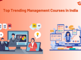 Top Trending Management Courses In India
