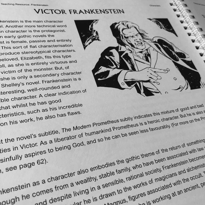 Frankenstein Chapter 21 Fully Annotated Teaching Resources - Premium Geometric Texture Gallery - High Resolution