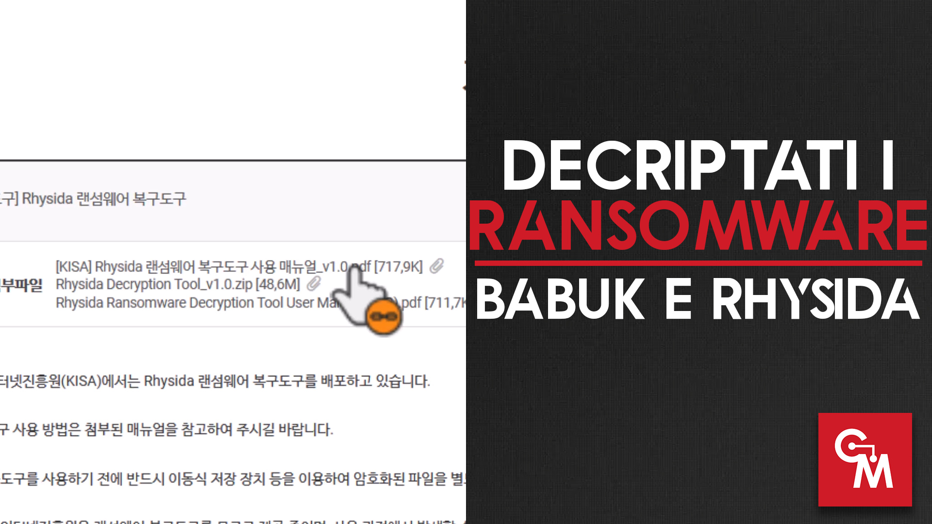 Decriptati i Ransomware Babuk e Rhysida