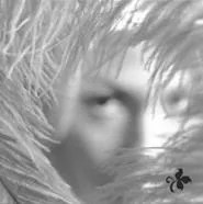 Stone Temple Pilots