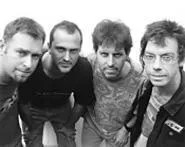 The Subhumans