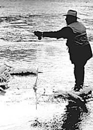 Return of the Steelhead