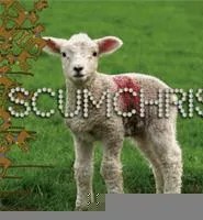 Scumchrist