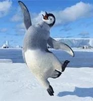 Dance of the Penguin