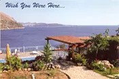 Greece Is the Word