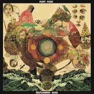 CD Review: Fleet Foxes