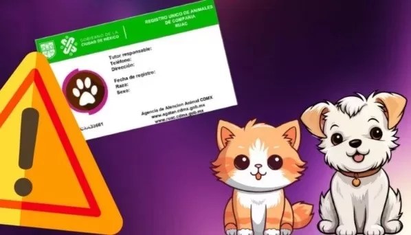 Nueva ley en CDMX: Registro de mascotas obligatorio con multas de hasta $3,365.67 por no tener RUAC 1 Nueva ley en CDMX: Registro de mascotas obligatorio con multas de hasta $3,365.67 por no tener RUAC