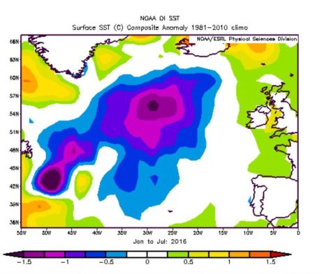 Die Grafik zeigt die Abweichungen der Meeresoberfl√§chentemperaturen (SSTA) der ersten sieben Monate im El Ni√±o-Jahr 2016. Die gro√üen lilafarbenen und blauen Fl√§chen weisen auf negative Abweichungen des Jahres 2016 im n√∂rdlichen Nordatlantik zum WMO-Klimamittel 1981-2010 hin. Quelle: 